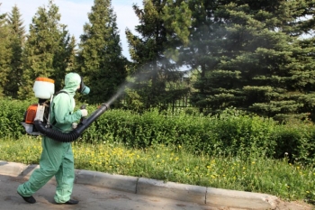 Уничтожение комаров в Домодедово
