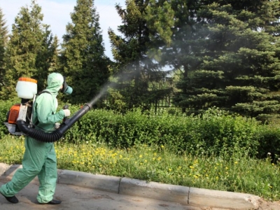 Уничтожение комаров в Домодедово